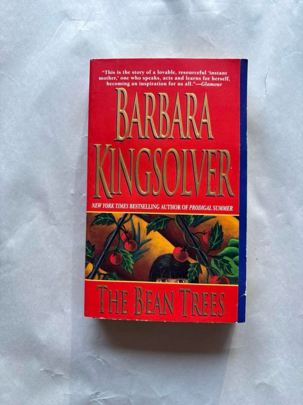 The Bean Trees by Barbara Kingsolver